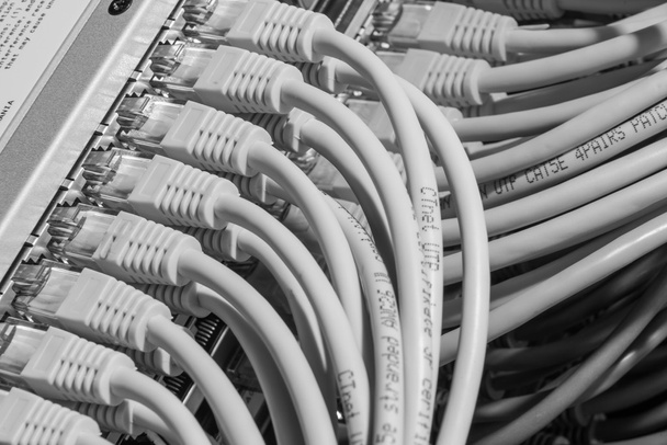 síťové kabely připojené k přepínači - Fotografie, Obrázek