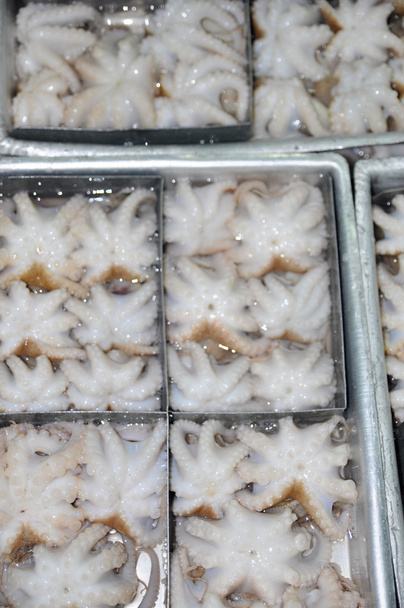 Octopus surovina je připravena být zmrazeny v zásobníku v továrně na mořské plody ve Vietnamu - Fotografie, Obrázek