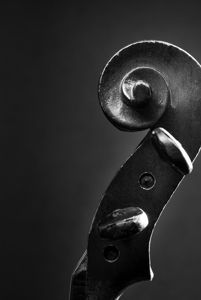 Close Up of Violin Scroll and Pegbox - Fotoğraf, Görsel