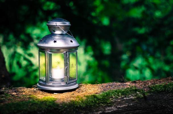 świecące latarnia w lesie - Zdjęcie, obraz