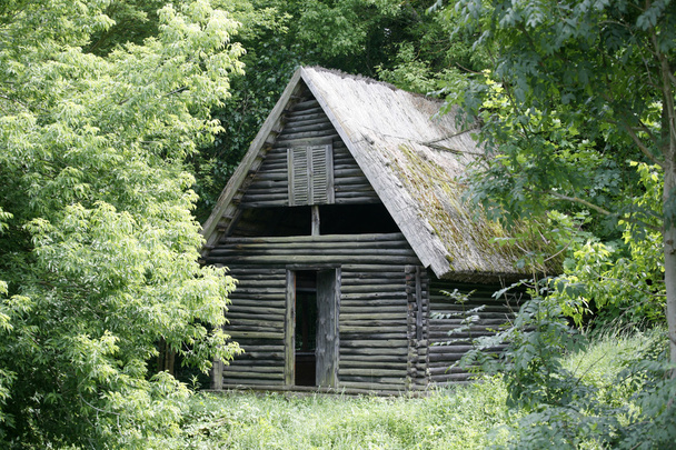 Покинутий мисливський будиночок посеред лісу
 - Фото, зображення