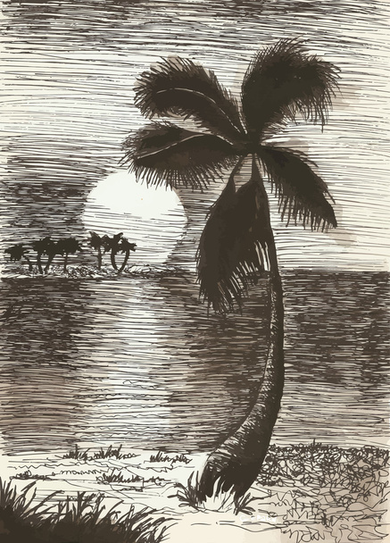 ο φοίνικας ανεμόμυλων στο νησί - Διάνυσμα, εικόνα