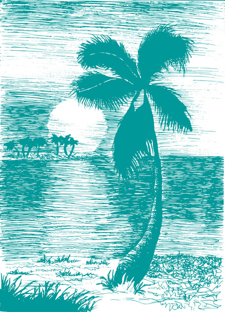 palmier sur l'île
 - Vecteur, image