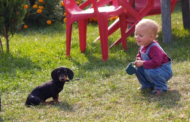 meisje en puppy van Teckel - Foto, afbeelding