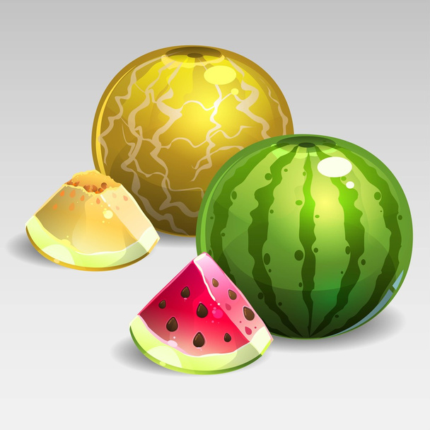 Anguria e melone
 - Vettoriali, immagini