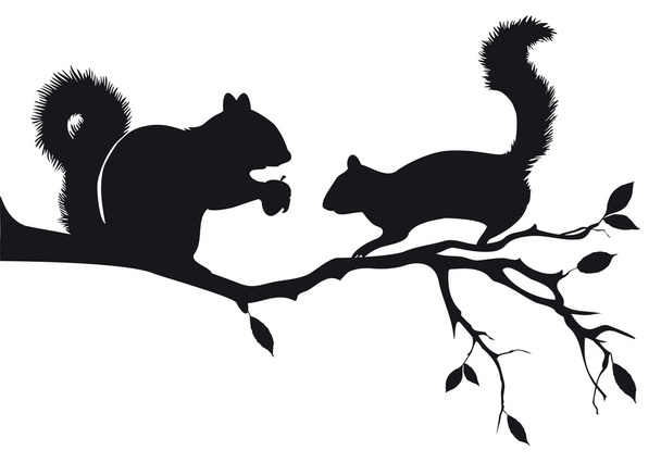 Esquilos na árvore, vetor
 - Vetor, Imagem