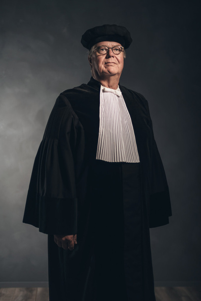 Portret van magistraat in klederdracht - Foto, afbeelding