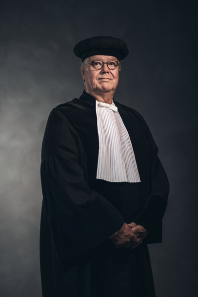 Porträt eines Richters in traditioneller Tracht - Foto, Bild