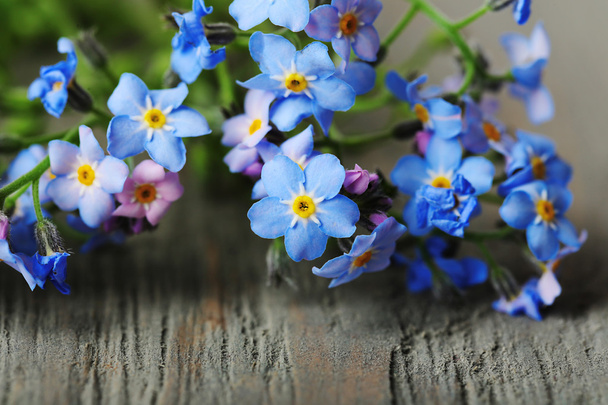 Forget-me-nots flowers on wooden background - 写真・画像