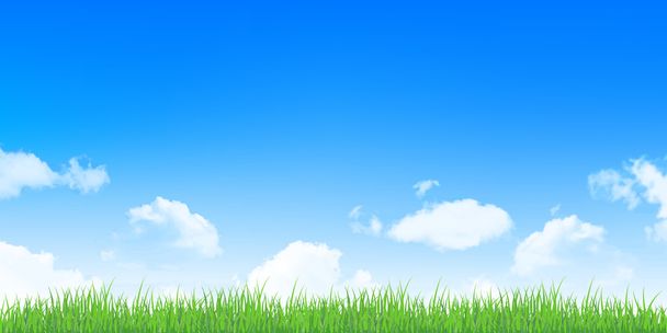 Himmel Gras Hintergrund - Vektor, Bild