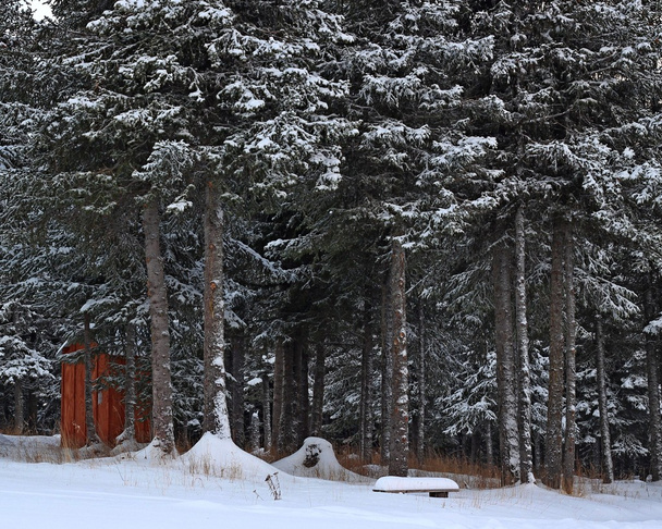 Двор и скамейка в снегу
 - Фото, изображение