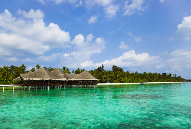 Vesikahvila trooppisella rannalla Malediiveilla
 - Valokuva, kuva