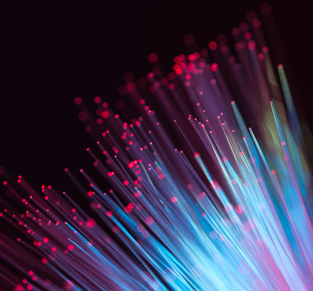 cable de red óptica de fibra - Foto, imagen