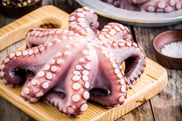whole fresh raw octopus  on cutting board with sea salt - Φωτογραφία, εικόνα