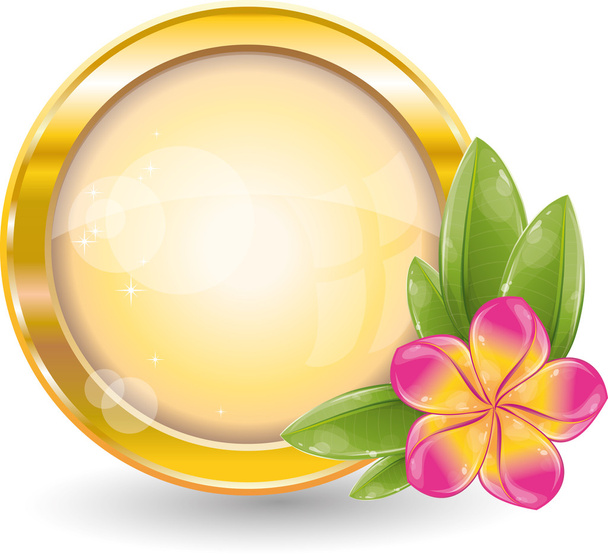 Gold circle frame with pink frangipani flower - Διάνυσμα, εικόνα