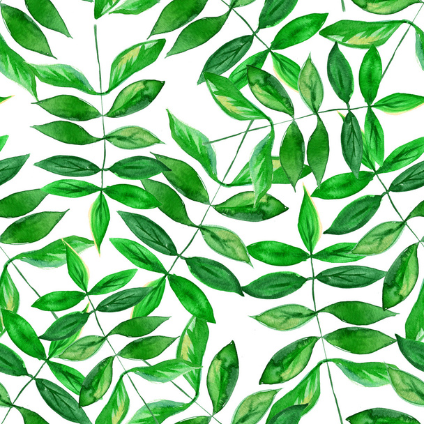 Seamless watercolor green leaves pattern with white background - 写真・画像