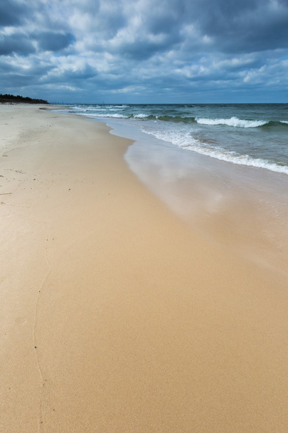Балтийский берег с драматическим небом
 - Фото, изображение