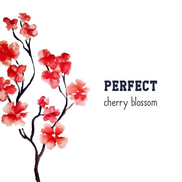 Japanese red cherry tree - Vector, Image