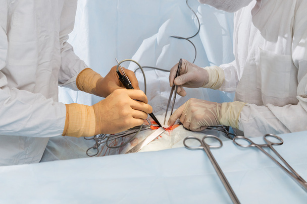 surgeons during surgery - Photo, Image