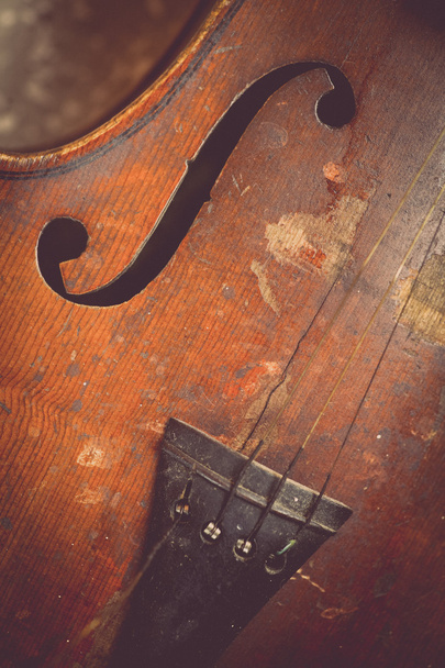 Используемая скрипка
 - Фото, изображение