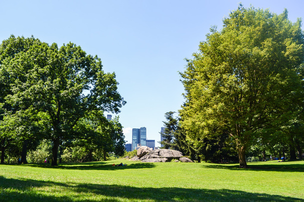 Green field and trees in Central Park, New York City, USA - Fotoğraf, Görsel