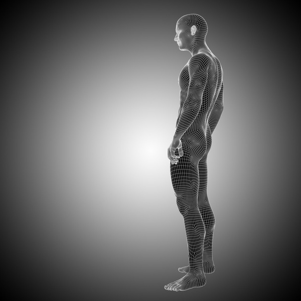 Käsitteellinen ihmisen anatomia
 - Valokuva, kuva
