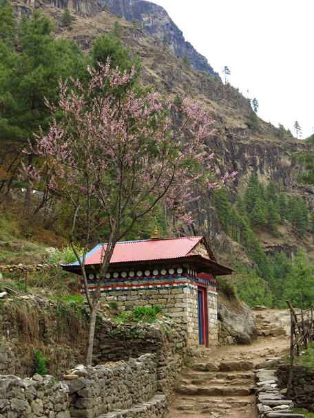 Flowering tree and decorated hut - Φωτογραφία, εικόνα
