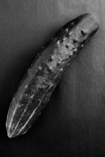 Black and white photo of cucumber - Φωτογραφία, εικόνα