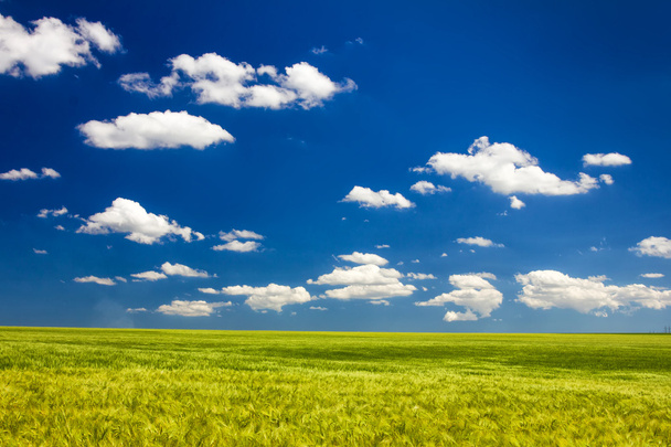 Feld Wolken Himmel - Foto, Bild