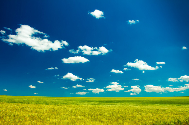 veld wolken hemel - Foto, afbeelding
