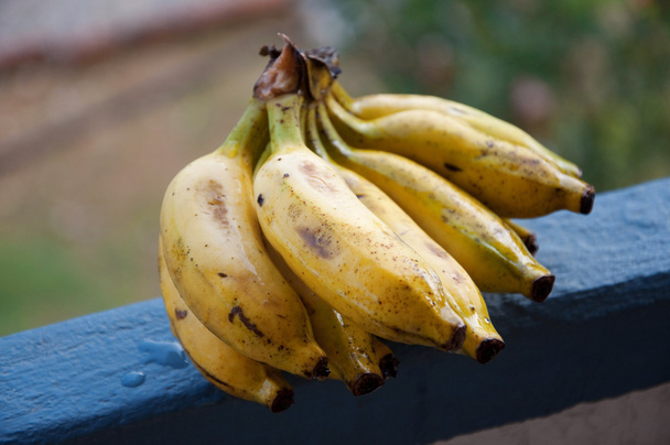 Lady Finger banaanit
 - Valokuva, kuva