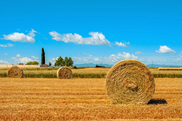 μετά τη συγκομιδή των καλλιεργειών πεδίο στην Ισπανία με στρογγυλή αχυρόμπαλες - Φωτογραφία, εικόνα