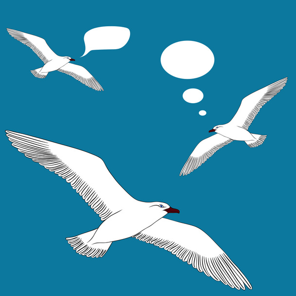 seagull - Vector, Image