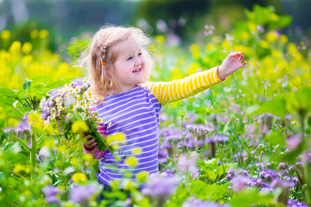 Petite fille cueillant des fleurs sauvages dans un champ
 - Photo, image