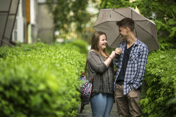 guy and girl talking under umbrella - Foto, immagini