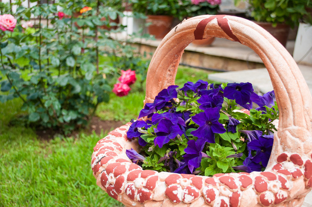 Jardiniere - with purple petunias - Foto, afbeelding