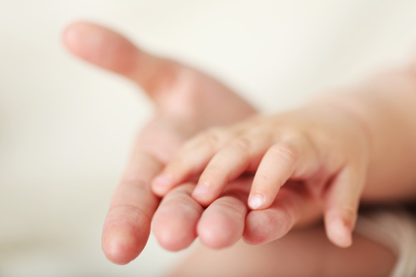 Adult and baby hands, closeup - Foto, afbeelding