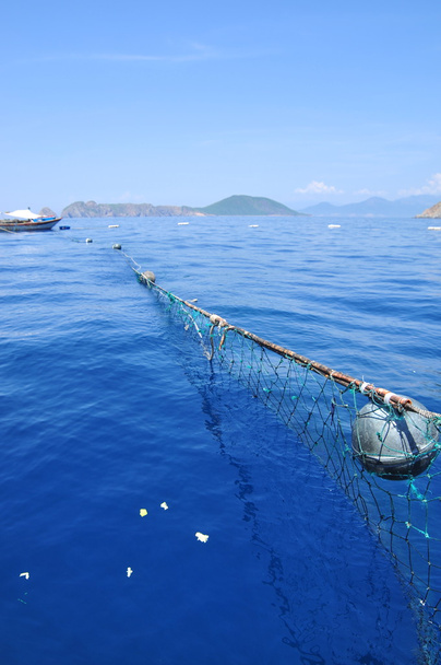 vonóhálós halászat - Fotó, kép