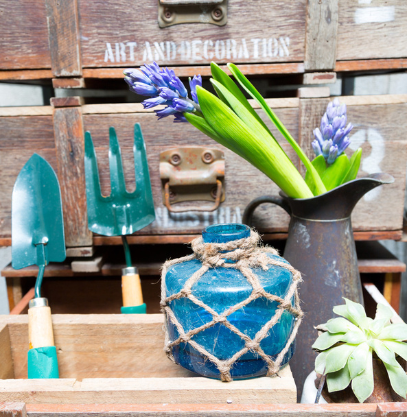 Still life with Hyacinth in vintage cabinet wood - Φωτογραφία, εικόνα