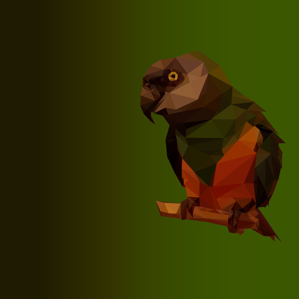 Polygonální papoušek - Vektor, obrázek
