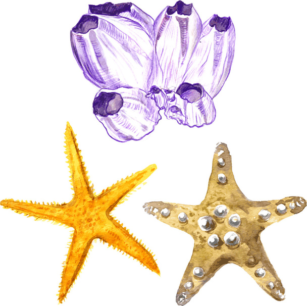 watercolor sea stars and coral - Vektör, Görsel