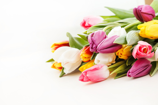 nice color tulips - Foto, afbeelding