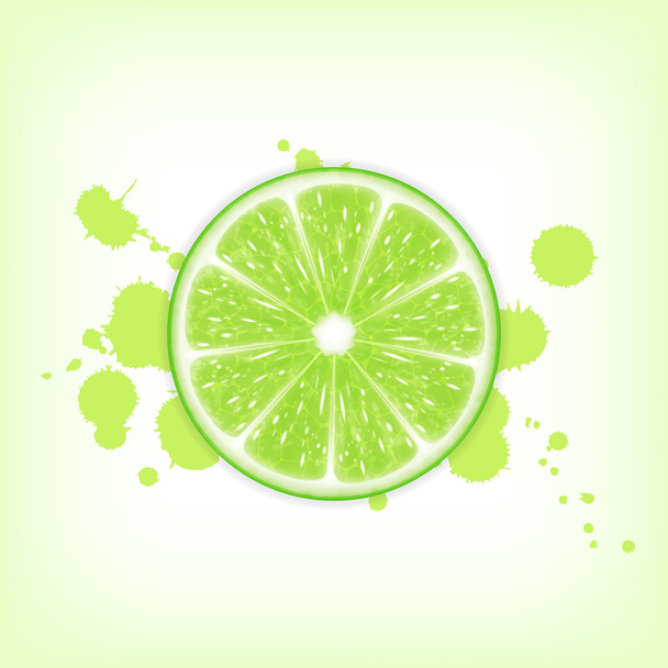 Lime slice - Vector, Image