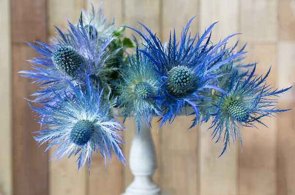 Eryngium planum Blue Sea Holly flowers on wooden background      - Photo, Image