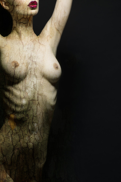 Naked woman with bark texture - Fotoğraf, Görsel