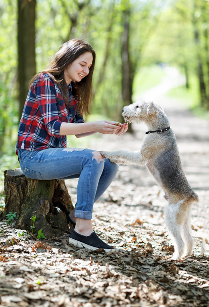 portrait of Beautiful young girl with her dogs   - Photo, Image