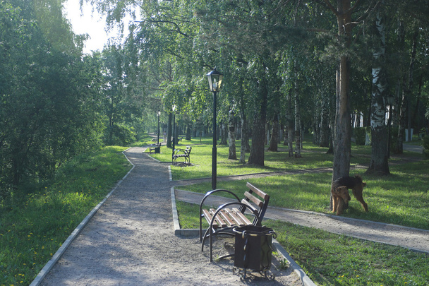 πάγκο στο πάρκο της πόλης - Φωτογραφία, εικόνα