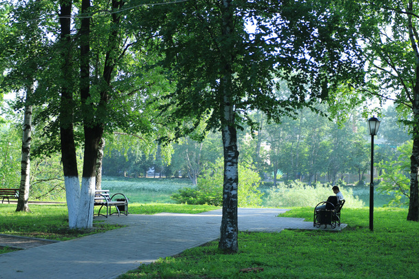 city park in summer - Foto, immagini