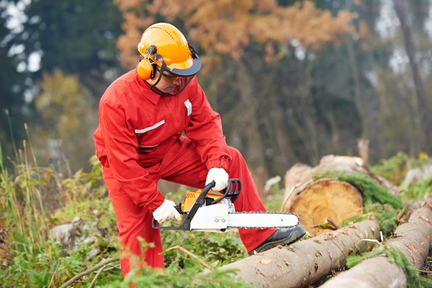 Lumberjack Worker With Chainsaw In The Forest - Foto, Bild