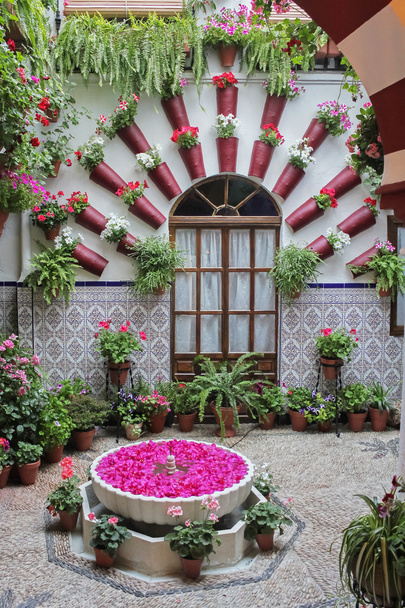 Courtyards of Cordoba - Photo, Image
